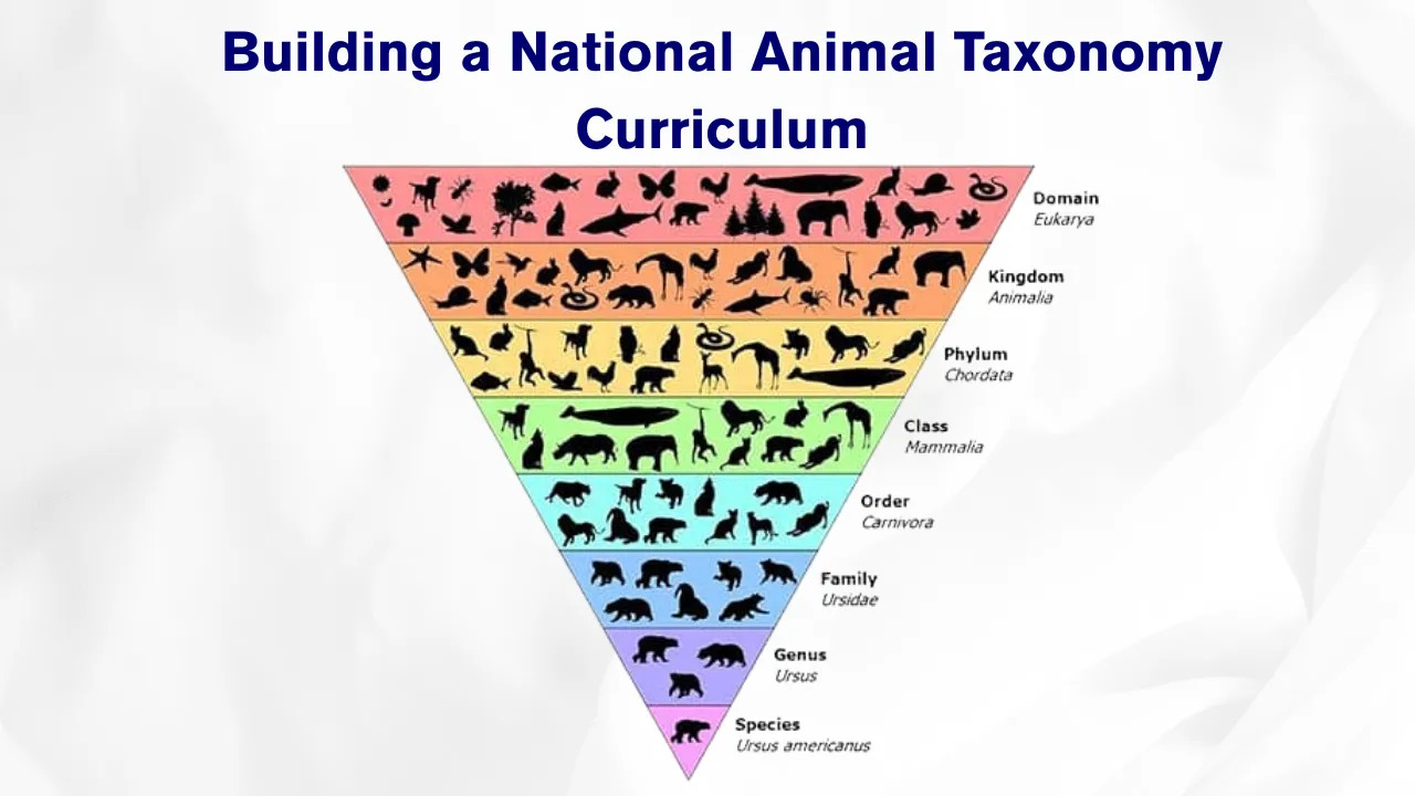 Building a National Animal Taxonomy Curriculum
