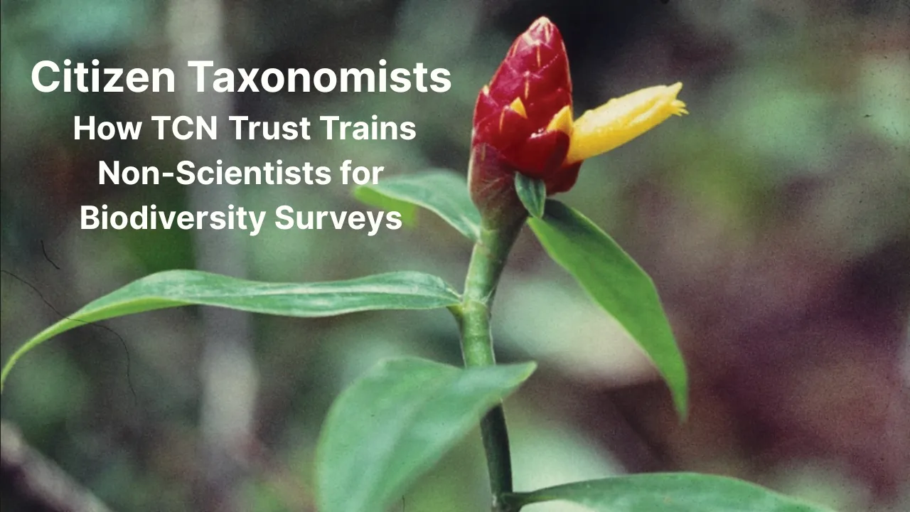 Citizen Taxonomists