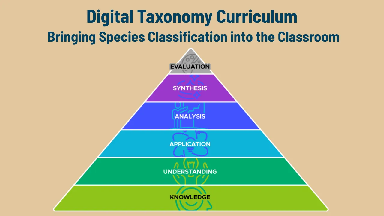 Digital Taxonomy Curriculum