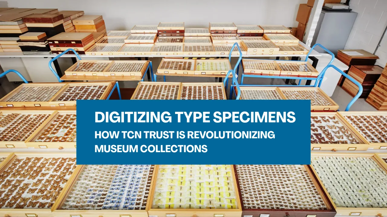 Digitizing Type Specimens