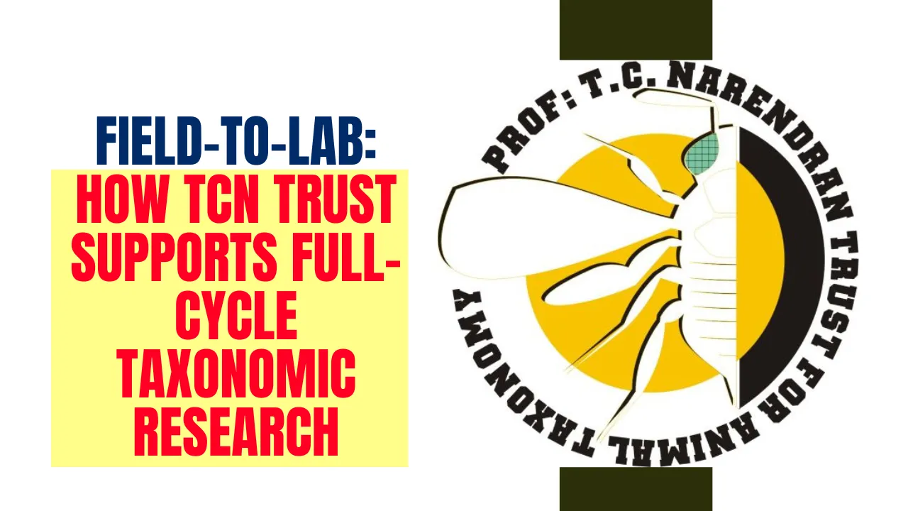 Field-to-Lab: How TCN Trust Supports Full-Cycle Taxonomic Research