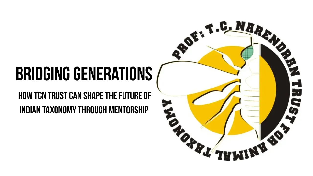 National Mentorship Program