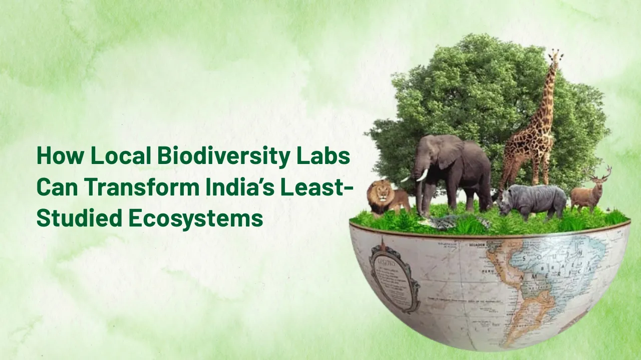 Regional Taxonomy Hubs