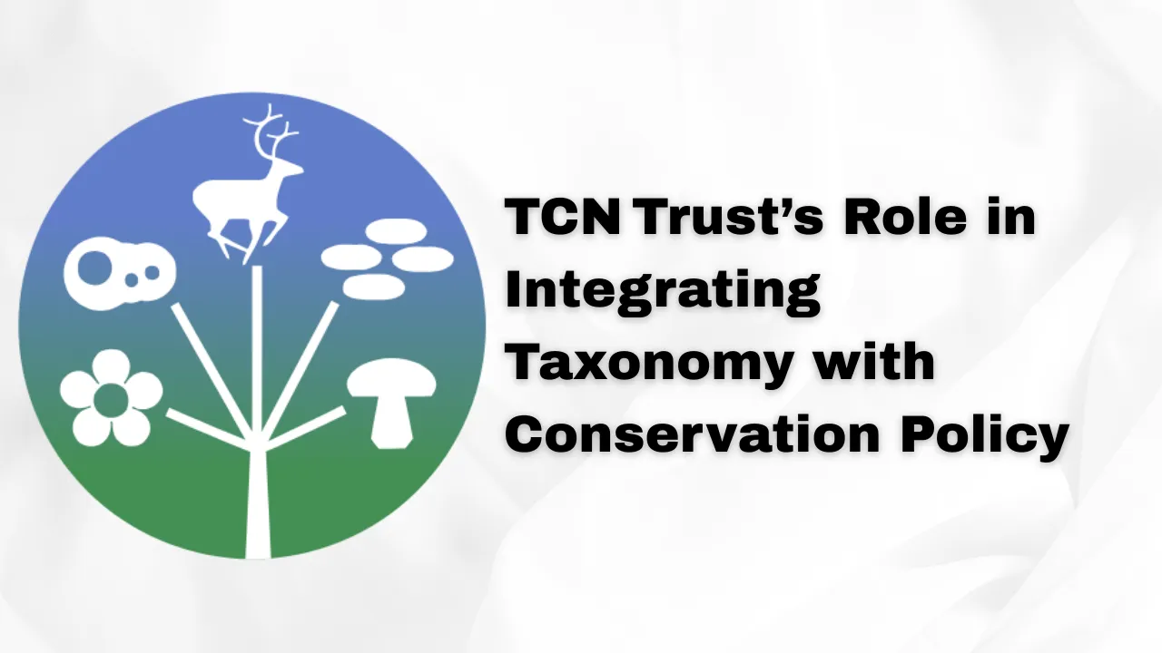 TCN Trust
