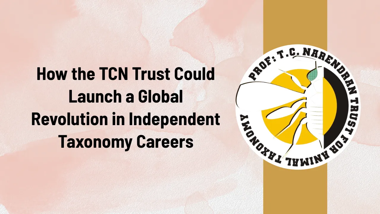 TCN Trust Freelance Taxonomy