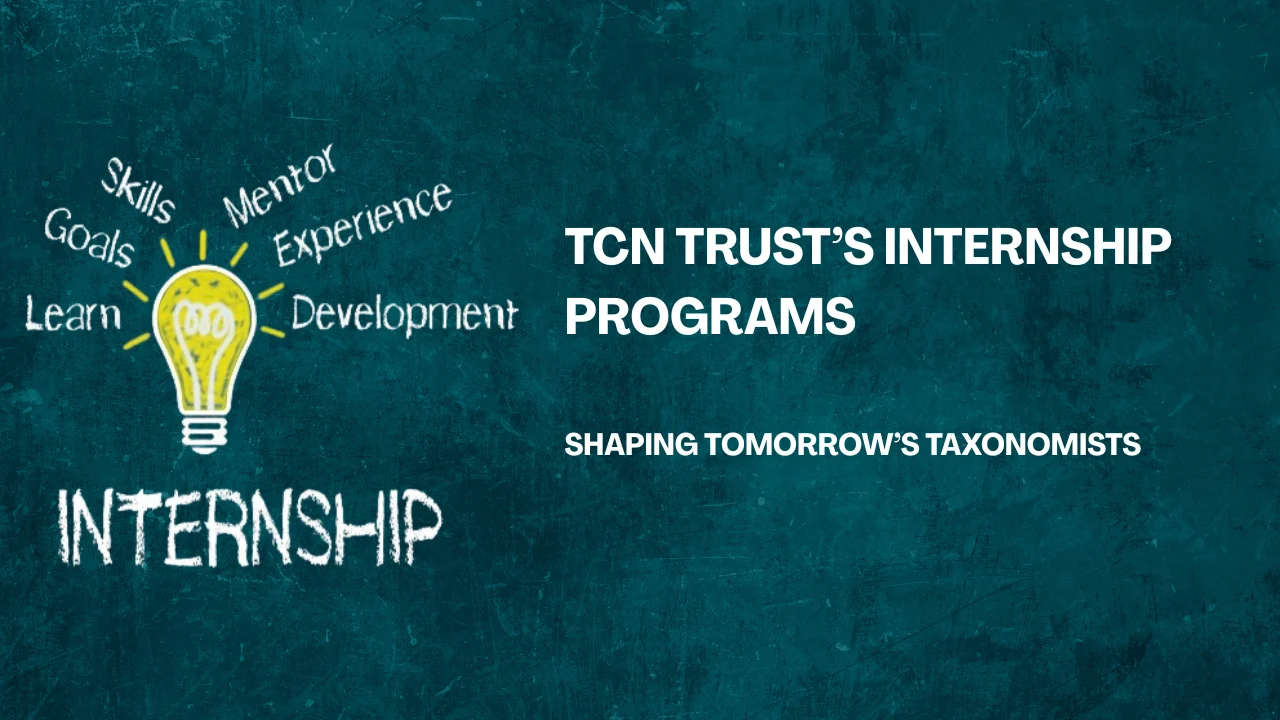 TCN Trust’s Internship Programs