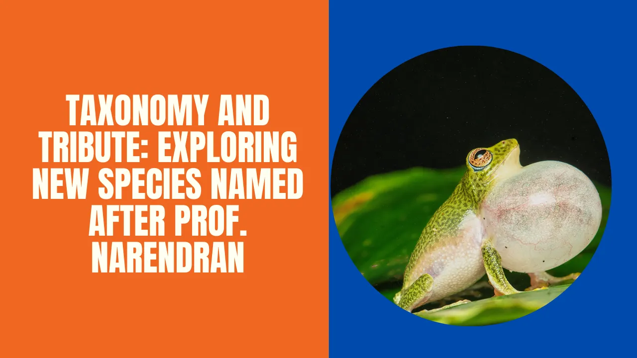 Taxonomy and Tribute: Exploring New Species Named After Prof. Narendran