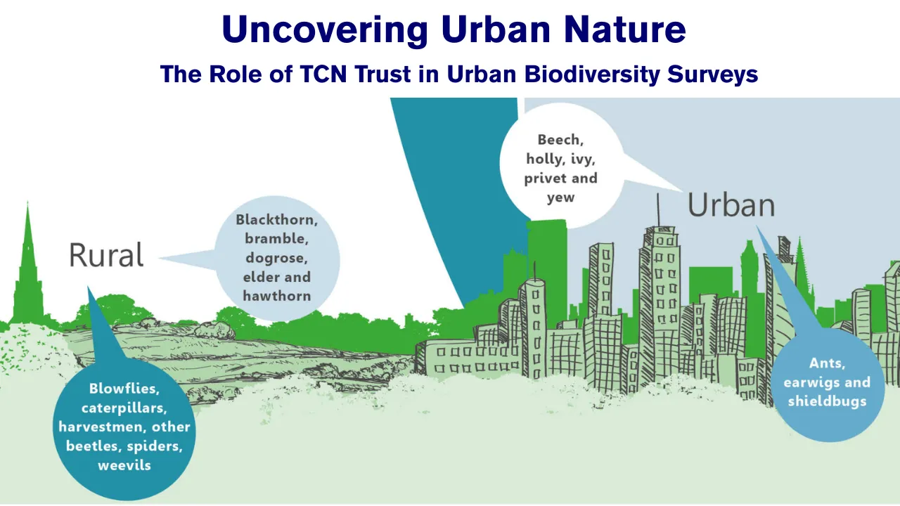 Urban Biodiversity Survey